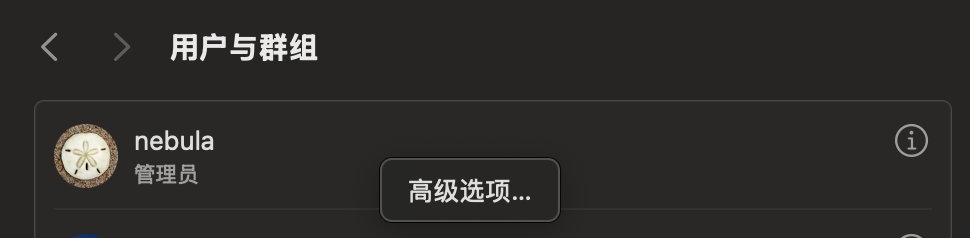 高级选项